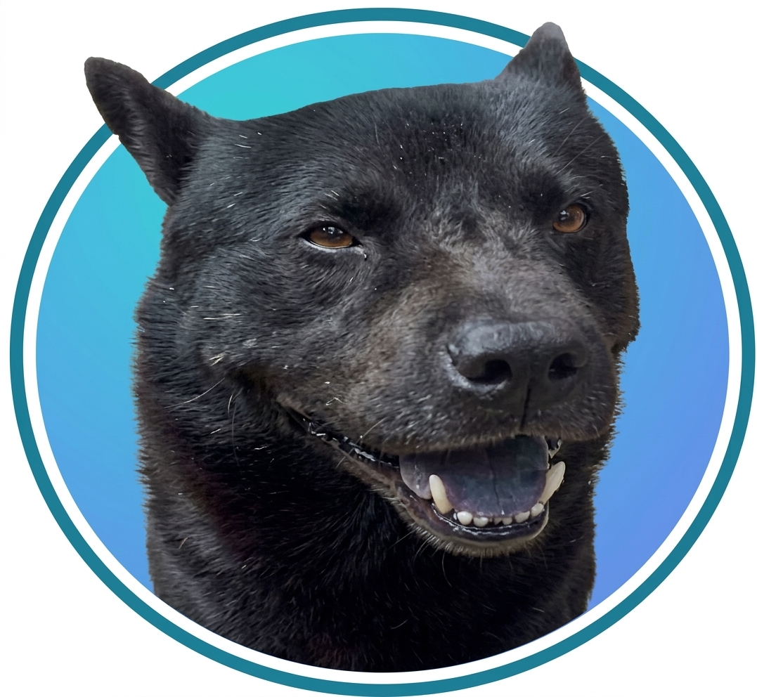 Bock, el perro asistente de PramTech